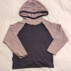 Icebreaker Merino Wool Garment